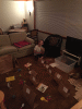 RLV_8889.jpg Thu Dec  1 10:06:45 2016