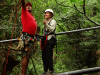 DSC00584.jpg Thu Dec  1 10:02:01 2016